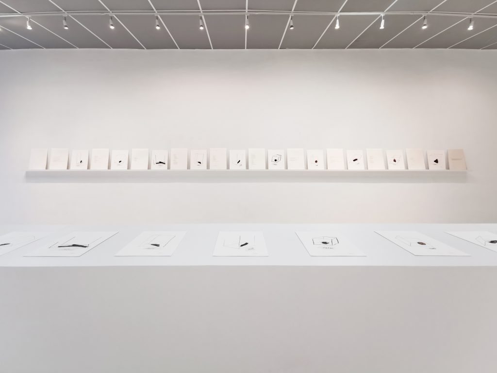 Noire Gallery - NOIRE Noire Gallery - NOIRE